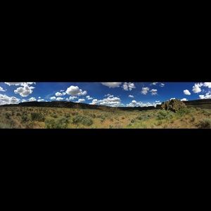 Meet your Posher, Kimber